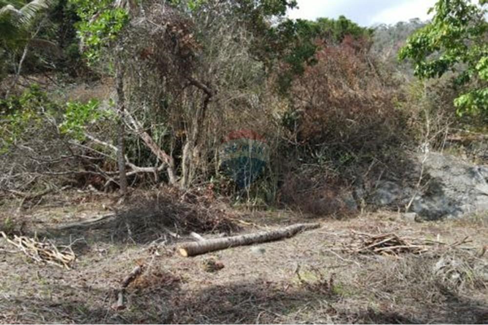 Terreno - Venda - Paraíba do Sul , Rio de Janeiro - 6.jpg - 631611011-3