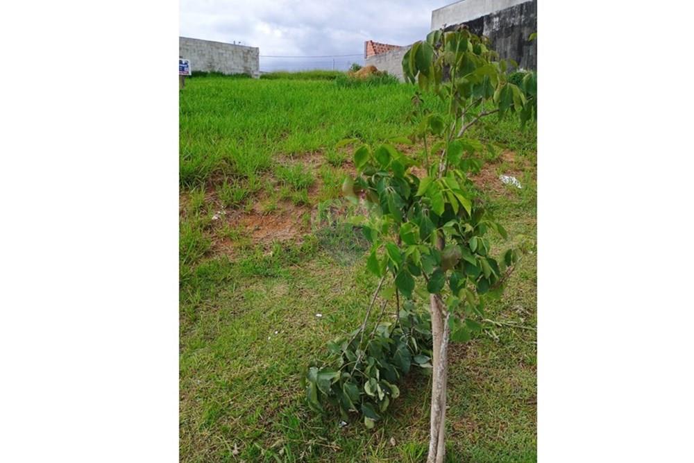 Terreno - Venda - Caçapava , São Paulo - WhatsApp Image 2026-02-23 at 12.53.51 (2).jpeg - 631501022-35