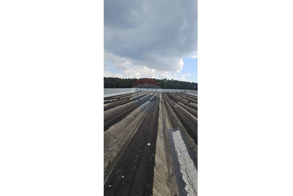 Galpão - Venda - Arujá , São Paulo - IMG-20250401-WA0111.jpg - 631491003-53