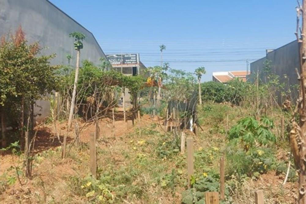 Terreno - Venda - Presidente Prudente , São Paulo - WhatsApp Image 2025-10-02 at 13.02.25 (2).jpeg - 630861066-6
