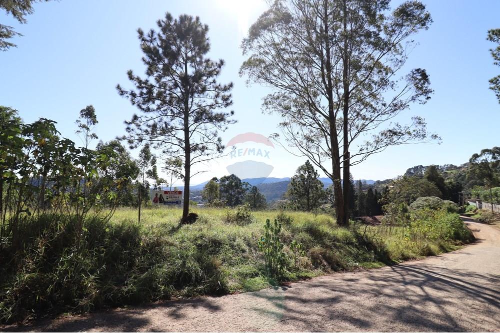 Terreno - Venda - Mairiporã , São Paulo - IMG_2454 (Personalizado) (1).JPG - 631361005-133