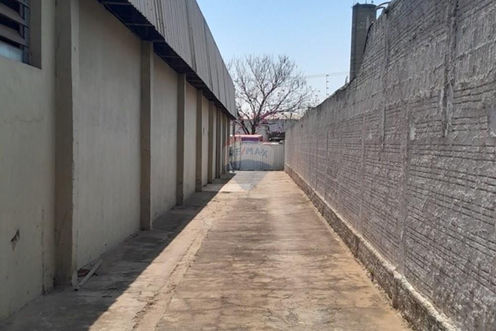 Galpão - Alugar - Araçatuba , São Paulo - 20240823_102817.jpg - 630541058-94