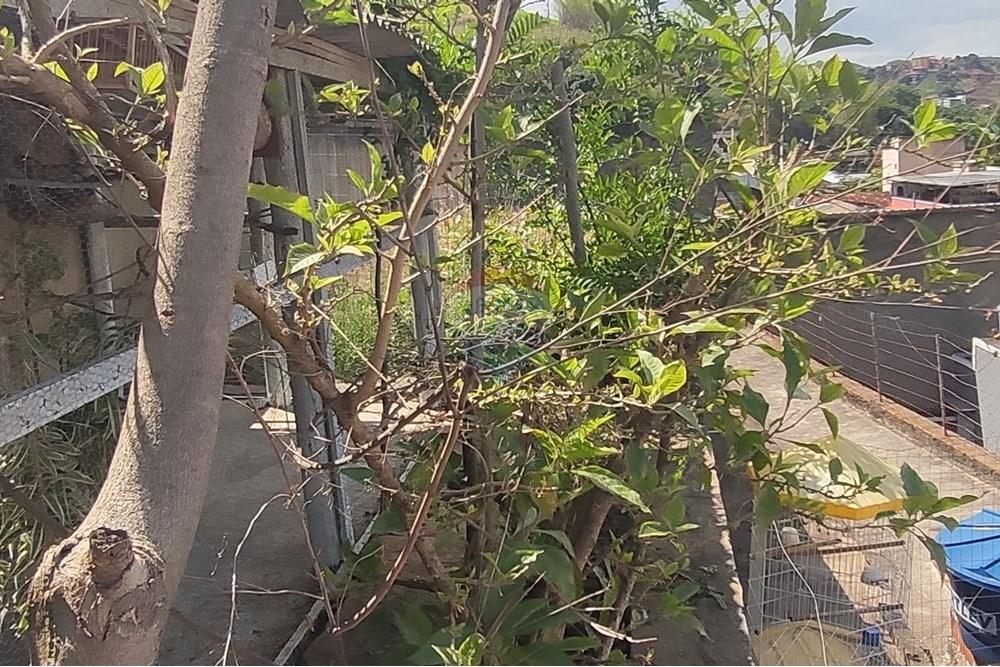 Terreno - Venda - Paraíba do Sul , Rio de Janeiro - IMG_20251106_135243.jpg - 631411001-102