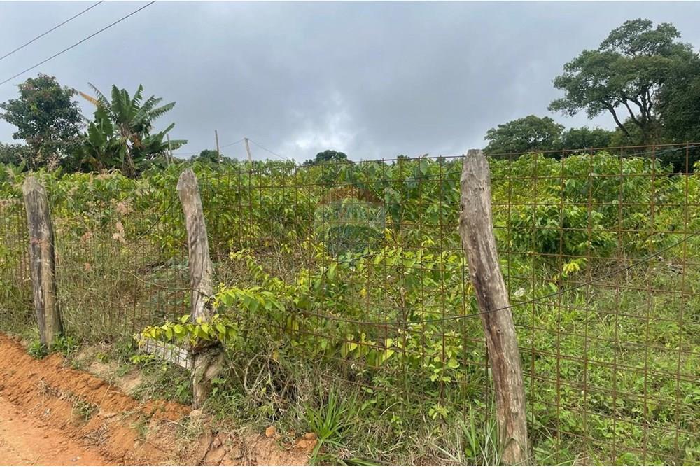 Chácara à venda com 2 quartos, 15340m² - Foto 7