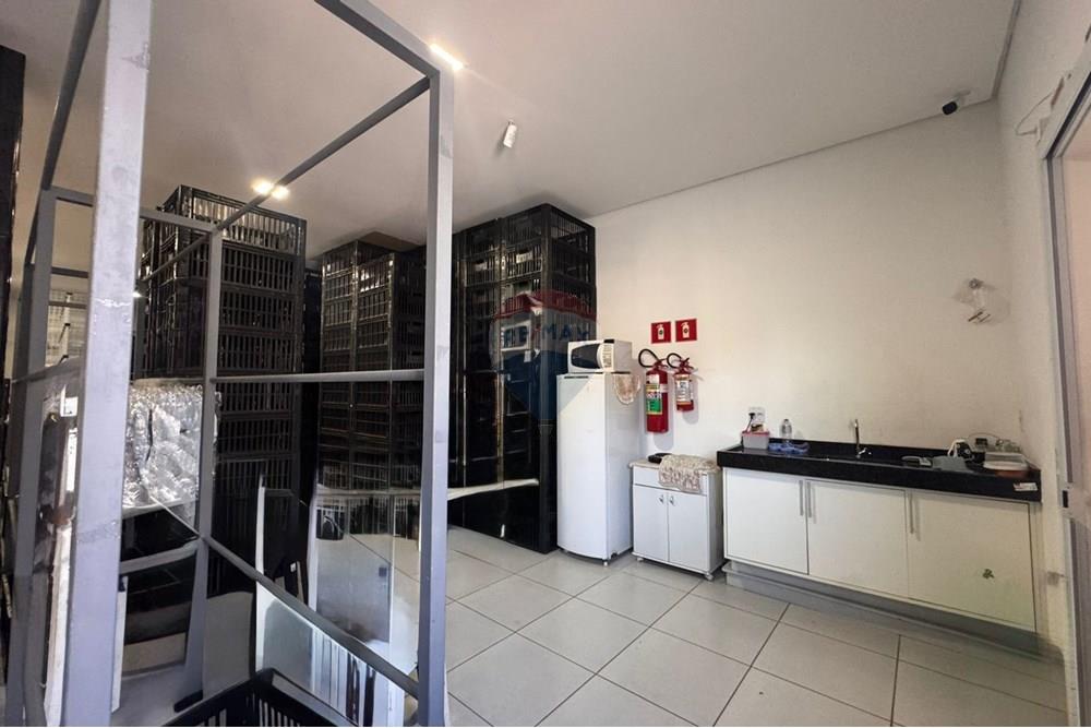 Ponto Comercial/ Loja - Venda - Botucatu , São Paulo - IMG-20251112-WA0075.jpg - 630111096-15
