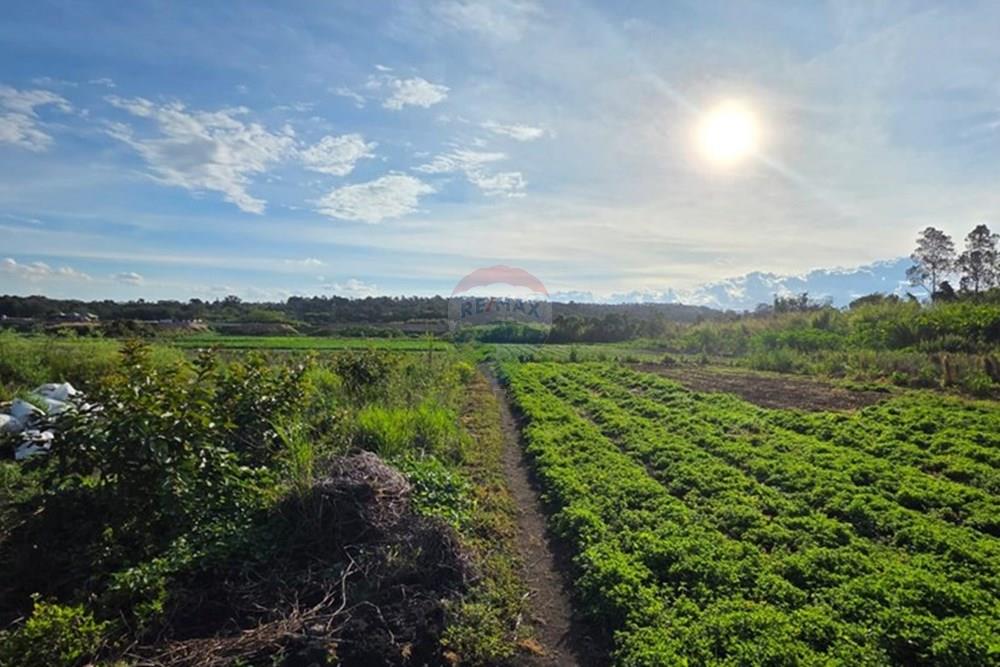 Terreno - Venda - Arujá , São Paulo - Imagem do WhatsApp de 2025-09-04 à(s) 14.58.11_092cfb5d.jpg - 631491027-5