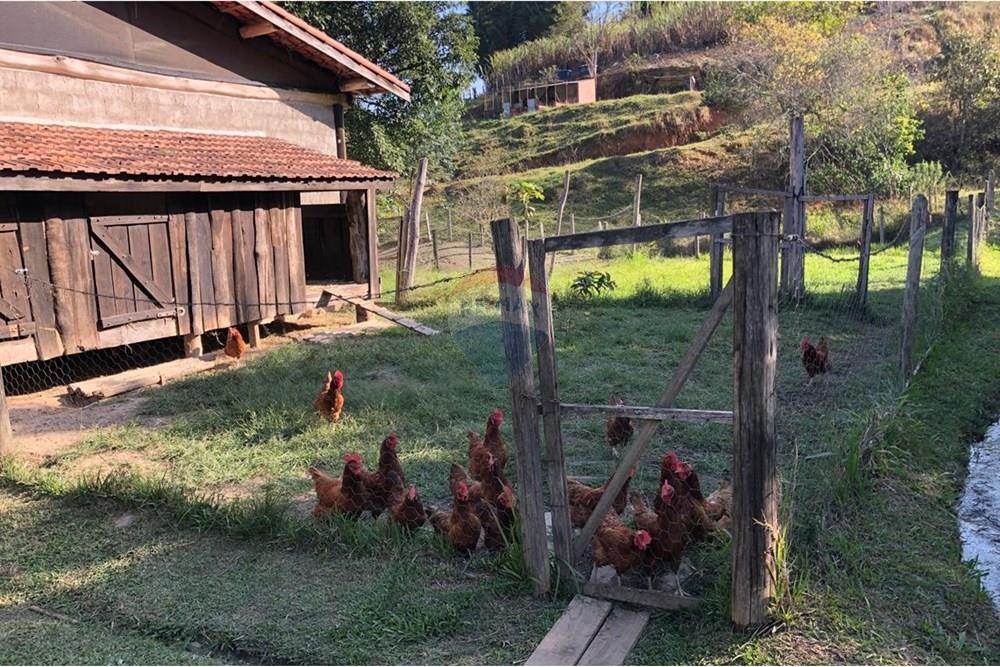 Chácara / Sítio / Fazenda - Venda - Monteiro Lobato , São Paulo - IMG-20240726-WA0116.jpg - 631431003-134