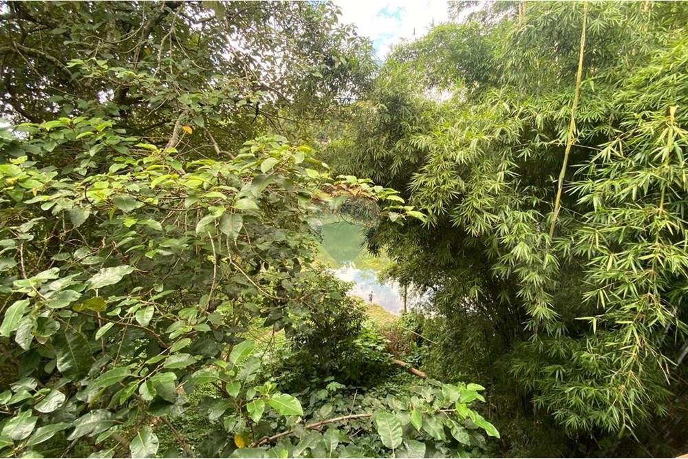 Ponto Comercial/ Loja - Alugar - Mairiporã , São Paulo - IMG-20250426-WA0026.jpg - 631361041-23