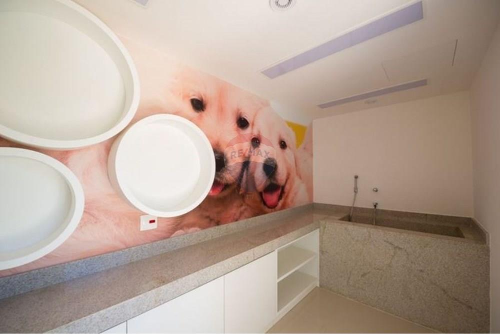 Apartamento - Alugar - Santo André , São Paulo - 18.jpeg - 631341001-310