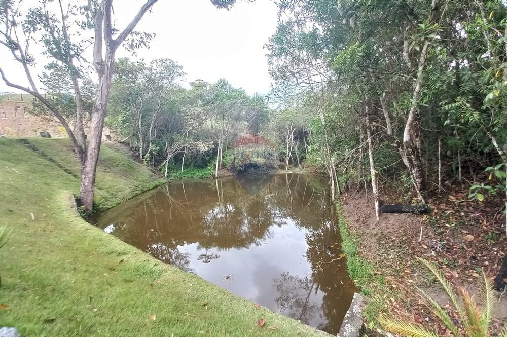 Galpão - Alugar - Mogi das Cruzes , São Paulo - 20251018_135910.jpg - 630281008-109