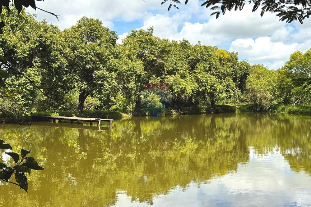 Chácara / Sítio / Fazenda - Venda - Birigui , São Paulo - 20260129_132811310_iOS.jpg - 630541040-79