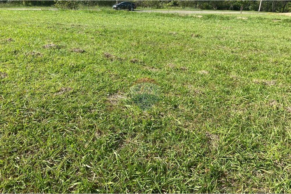 Terreno - Venda - Salto de Pirapora , São Paulo - c7703543-09a5-46f9-beb2-2ee59f4216c4.jpg - 631181052-164