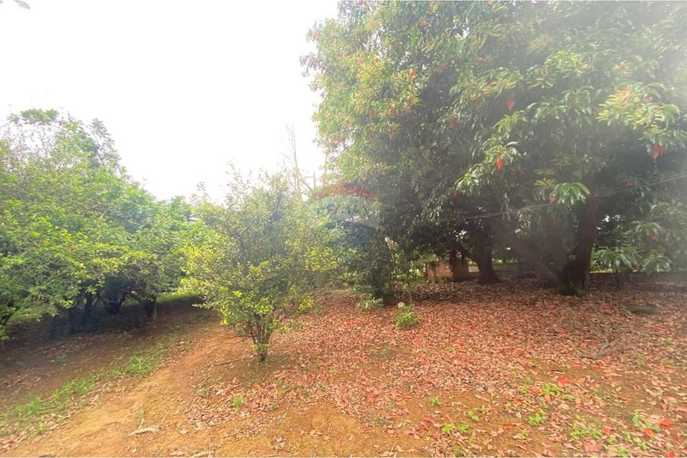 Chácara / Sítio / Fazenda - Venda - Salto de Pirapora , São Paulo - WhatsApp Image 2026-02-10 at 14.42.35 (7).jpeg - 631181052-222