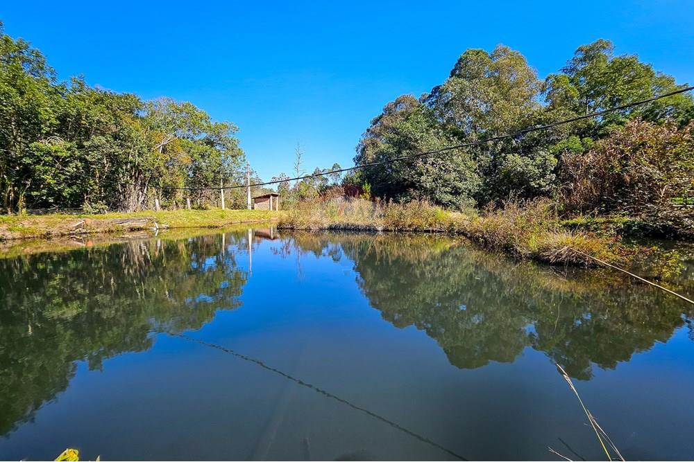Fazenda - Venda - Botucatu , São Paulo - IMG-20250717-WA0043.jpg - 630111096-7