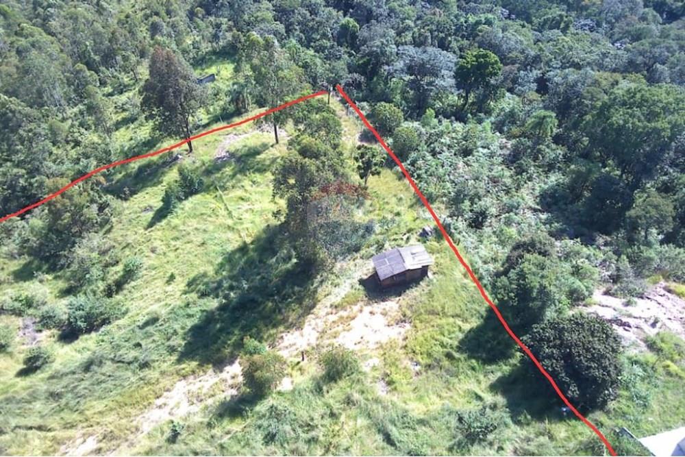 Chácara / Sítio / Fazenda - Venda - Mairiporã , São Paulo - WhatsApp Image 2025-11-25 at 11.42.35 (1).jpeg - 631361071-2