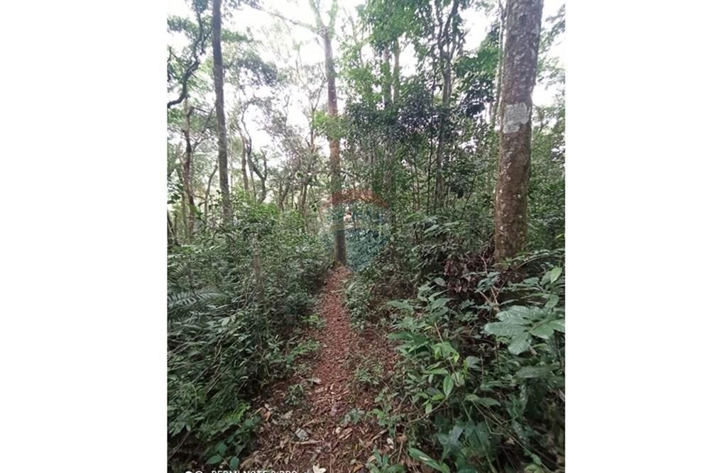 Terreno - Venda - Mairiporã , São Paulo - WhatsApp Image 2025-07-28 at 23.50.19 (2).jpeg - 631361025-37