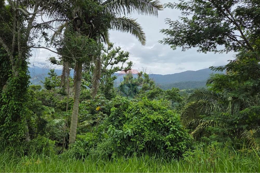 Terreno - Venda - Ilhabela , São Paulo - WhatsApp Image 2026-02-03 at 15.53.56 (1).jpeg - 630951006-37