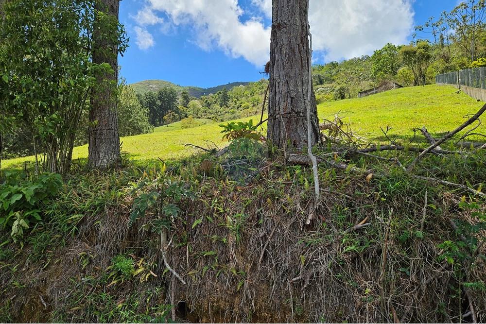 Terreno - Venda - Nova Friburgo , Rio de Janeiro - 20251111_103147.jpg - 630551024-83