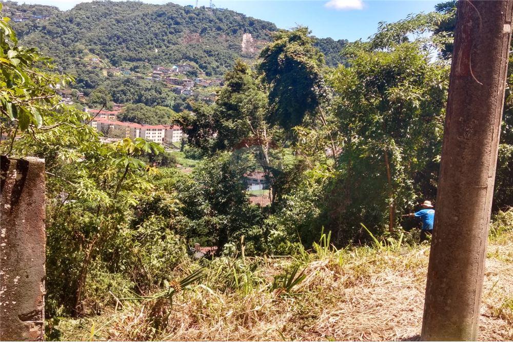 Terreno - Venda - Petrópolis , Rio de Janeiro - 4 - 630131022-38