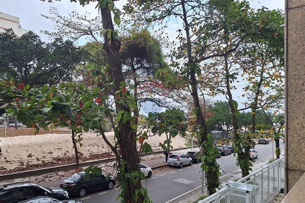 Apartamento - Alugar - Rio de Janeiro , Rio de Janeiro - 20250829_155504.jpg - 630411001-123