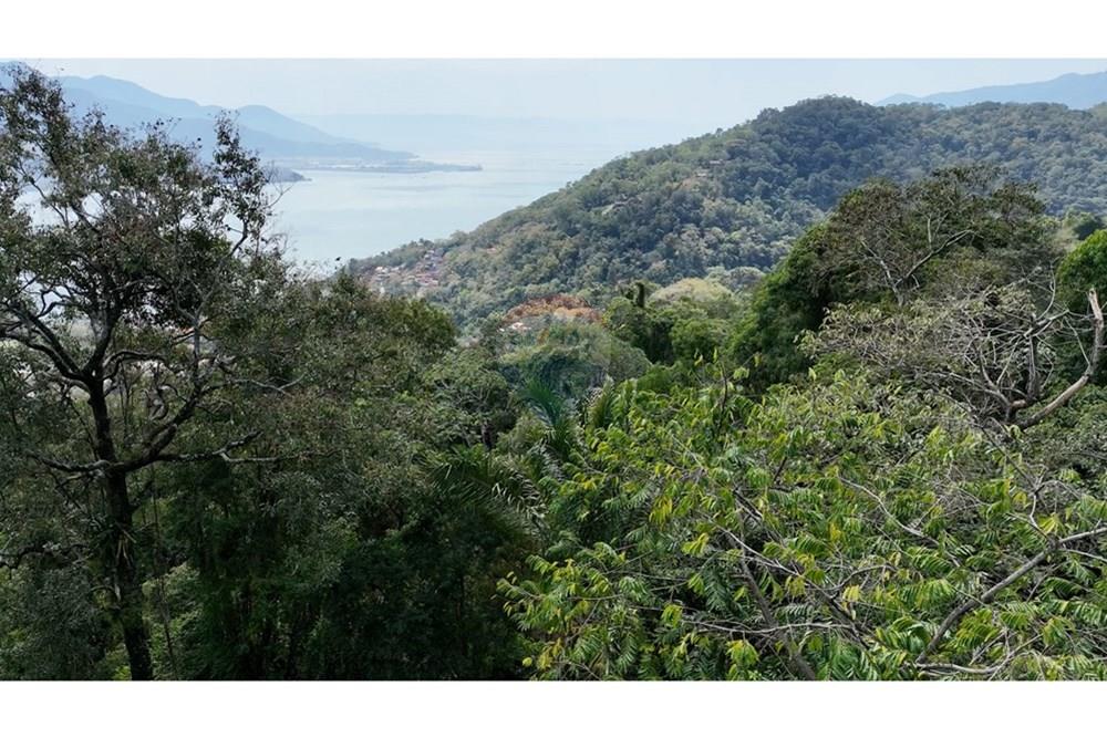 Terreno - Venda - Ilhabela , São Paulo - DJI_0825.00_00_37_44.Quadro003.jpg - 630951011-33