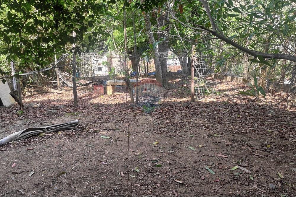 Terreno - Venda - Paraíba do Sul , Rio de Janeiro - IMG_20251106_140227.jpg - 631411001-102