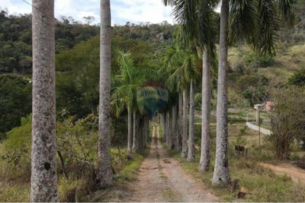 Terreno - Venda - Paraíba do Sul , Rio de Janeiro - 1.jpg - 631611011-3
