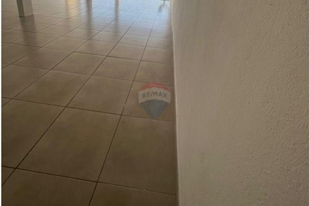 Galpão - Alugar - Jacareí , São Paulo - Salão 2.jpeg - 631471036-10