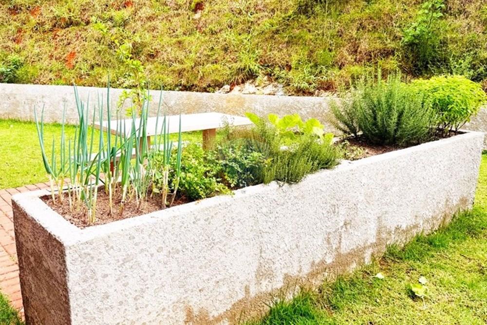 Apartamento - Venda - Votorantim , São Paulo - fd994fe3-7a43-4db1-82b6-95a246d8cbab.jpg - 631581053-19