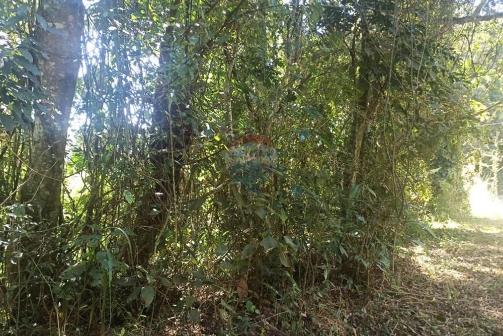 Terreno - Venda - Mairiporã , São Paulo - WhatsApp Image 2025-07-31 at 01.49.05 (3).jpeg - 631361025-34