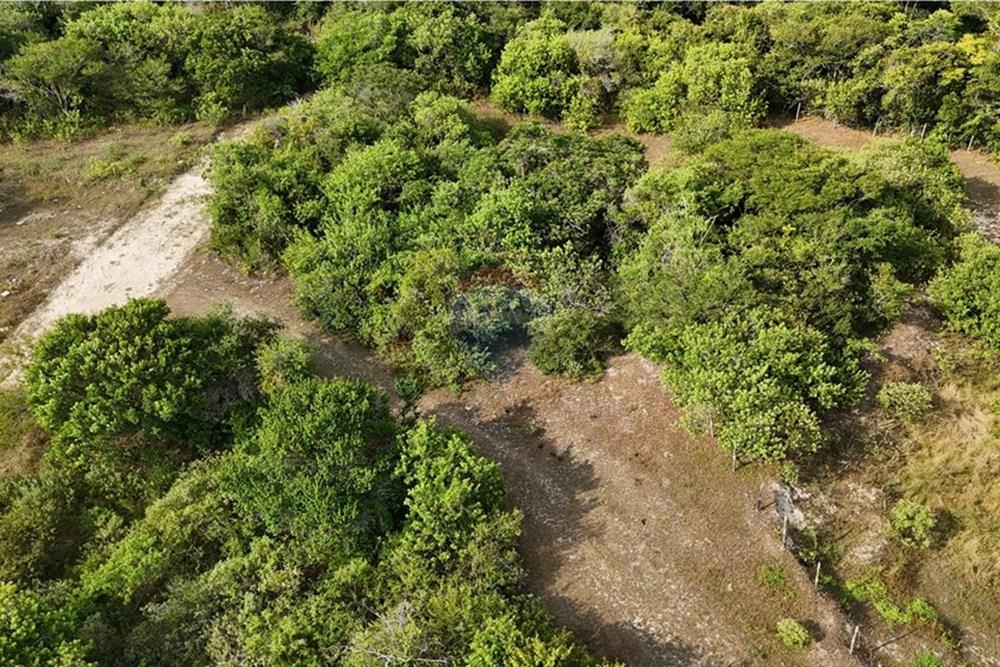 Terreno - Venda - Armação dos Búzios , Rio de Janeiro - dji_fly_20250310_154340_0014_1742265330894_photo(1).JPG - 630391033-21