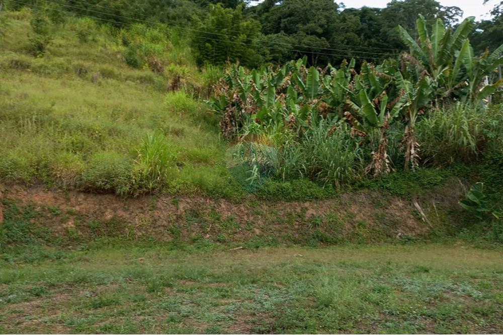 Terreno - Venda - Bom Jardim , Rio de Janeiro - Imagem do WhatsApp de 2025-03-13 à(s) 13.01.32_4ac2de1c.jpg - 630171008-17
