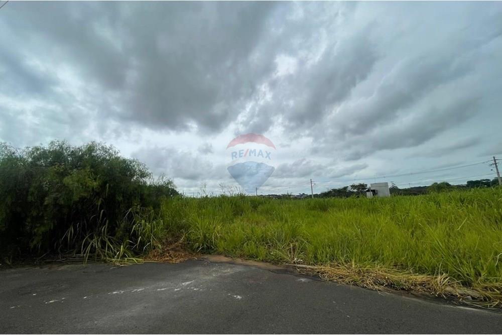 Terreno - Venda - Bady Bassitt , São Paulo - WhatsApp Image 2025-01-27 at 12.48.52 (11).jpeg - 631481002-88