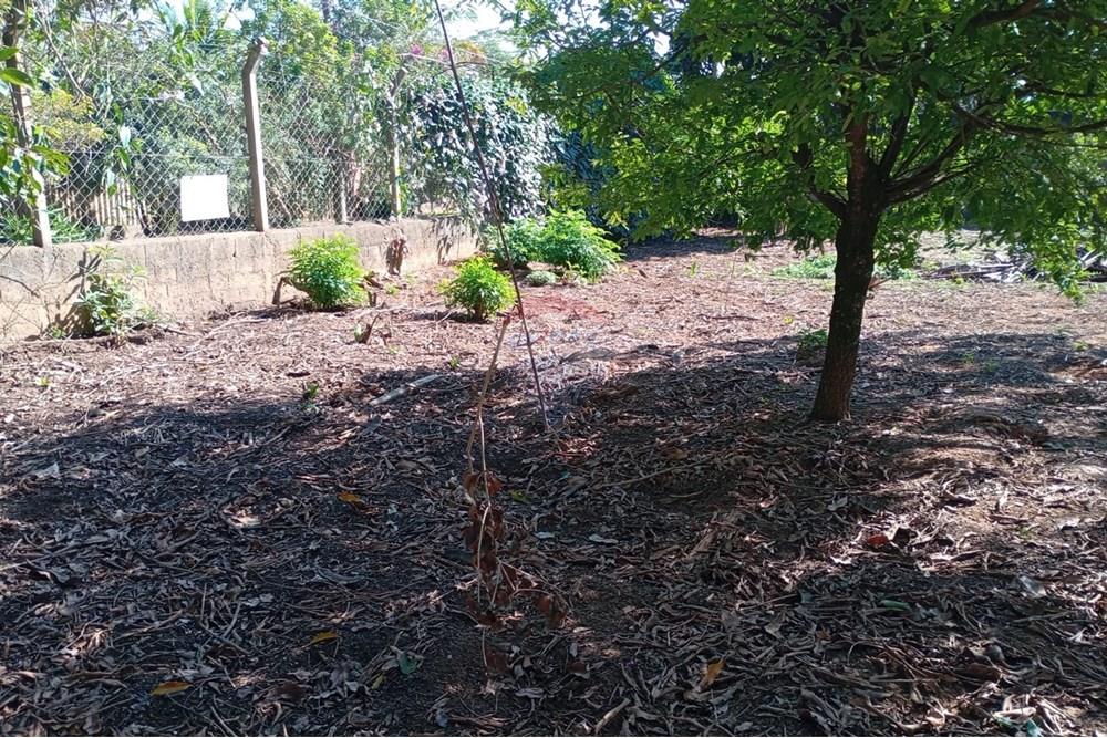 Chácara / Sítio / Fazenda - Venda - Salto de Pirapora , São Paulo - 17.jpeg - 631181053-20