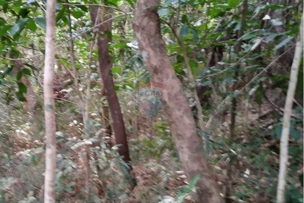 Terreno - Venda - Mairiporã , São Paulo - WhatsApp Image 2025-08-22 at 23.56.09 (1).jpeg - 631361025-40