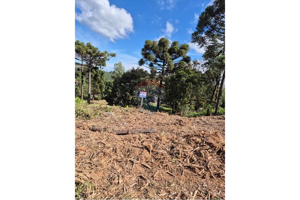 Terreno - Venda - Apiaí , São Paulo - WhatsApp Image 2025-06-05 at 14.41.06 (2).jpeg - 630241006-11