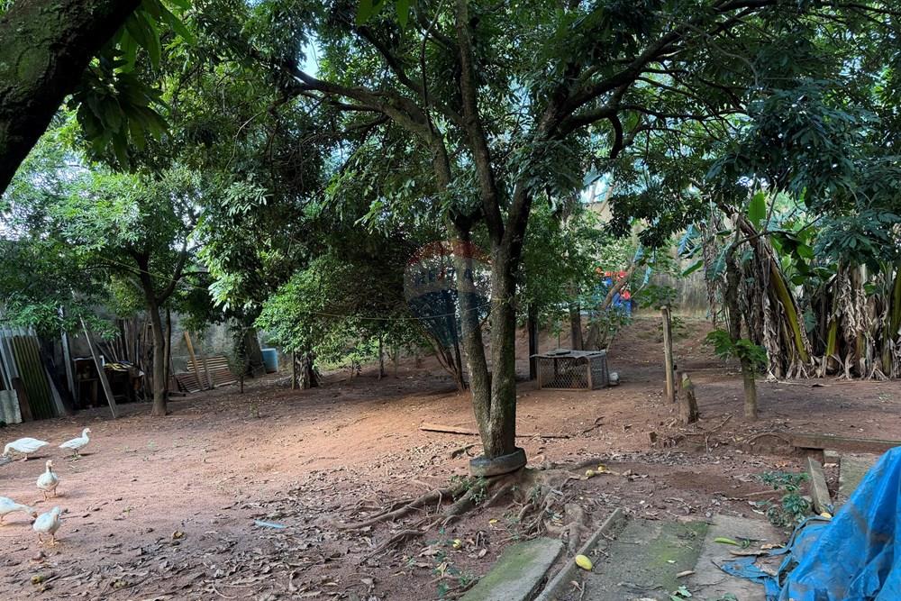 Terreno - Venda - Botucatu , São Paulo - IMG_0478.jpeg - 630111105-5