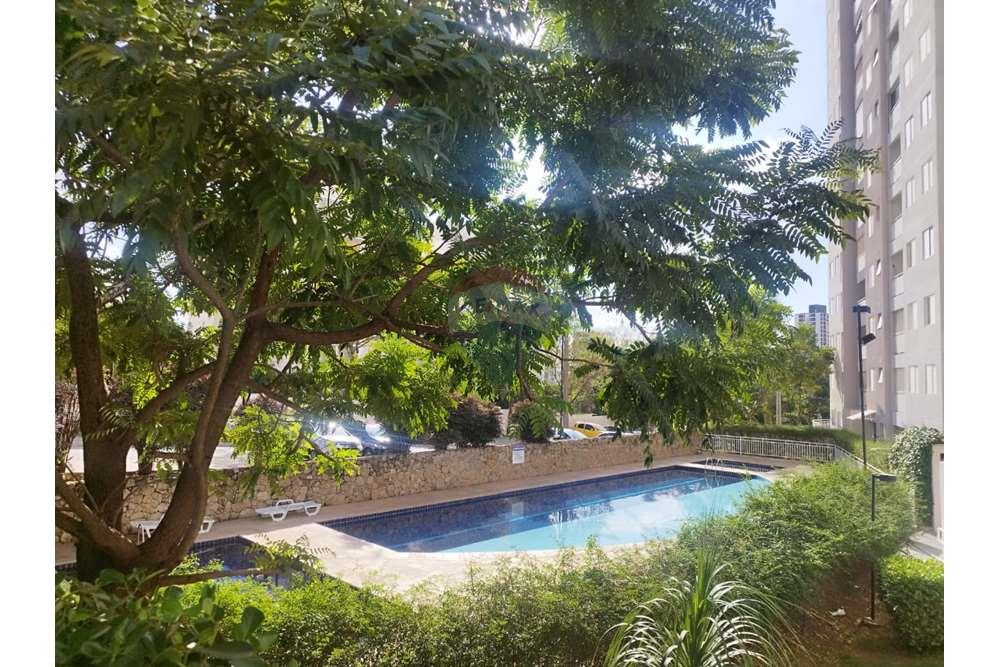 Apartamento - Alugar - Sorocaba , São Paulo - WhatsApp Image 2024-05-14 at 16.32.37.jpeg - 630601112-189