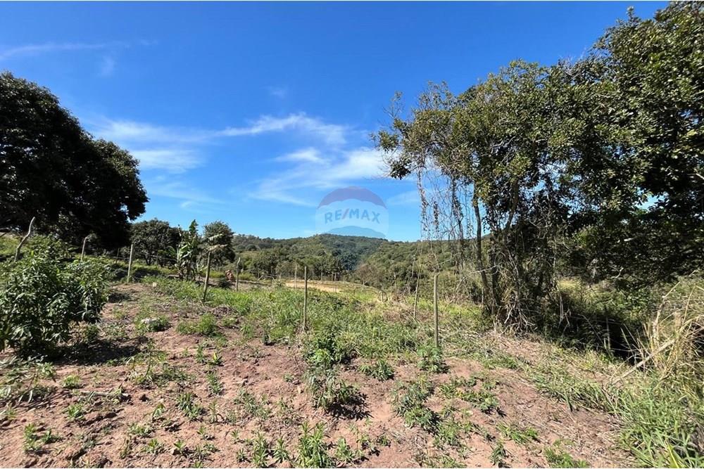 Terreno - Venda - Armação dos Búzios , Rio de Janeiro - 6b76b77d-71db-4645-916b-0de68b6746fb.jpeg - 630391006-82