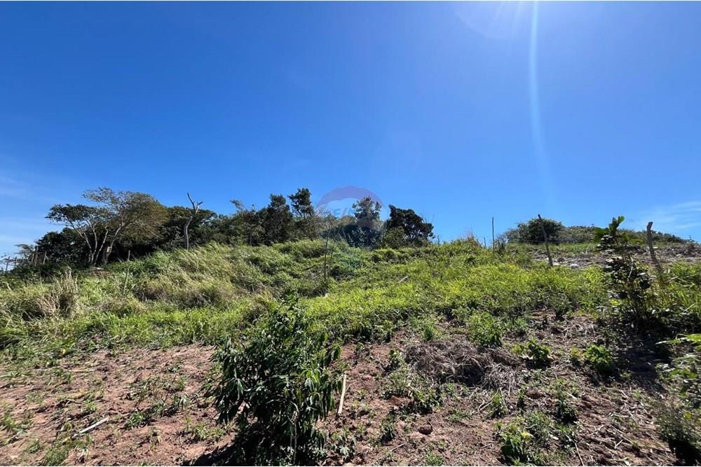 Terreno - Venda - Armação dos Búzios , Rio de Janeiro - 5262ef61-288a-4bfc-9ff3-3b3e4f418315.jpeg - 630391006-81