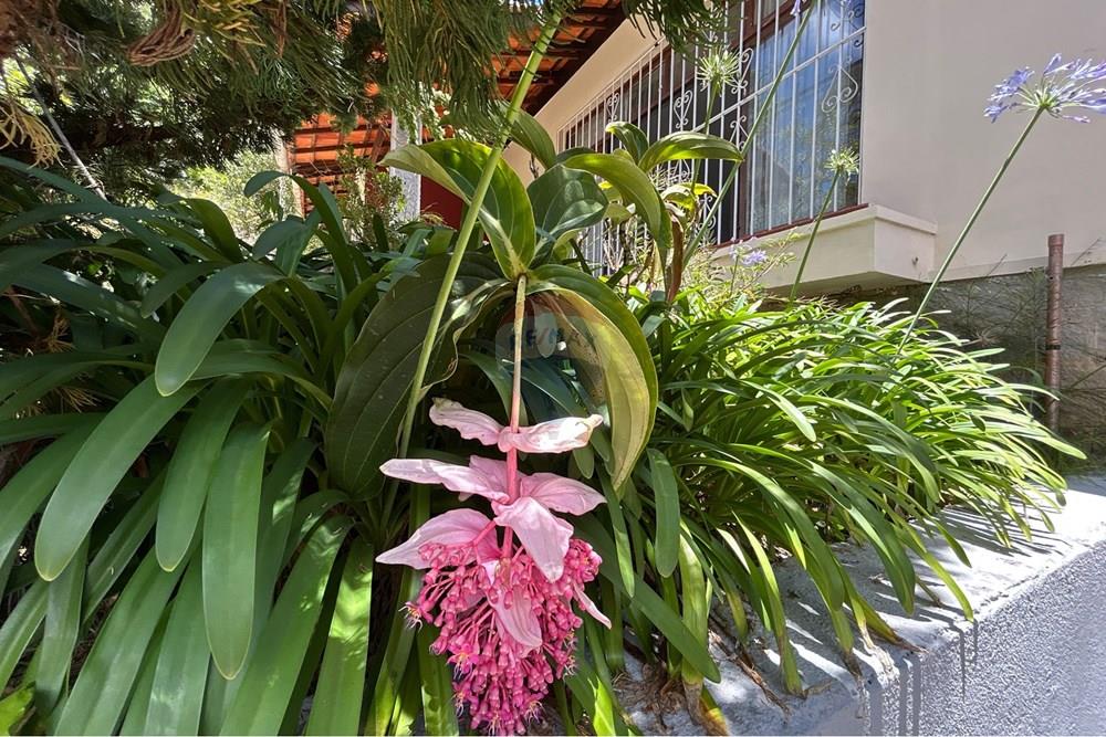 Casa - Venda - Nova Friburgo , Rio de Janeiro - IMG_1192.jpeg - 630551055-130