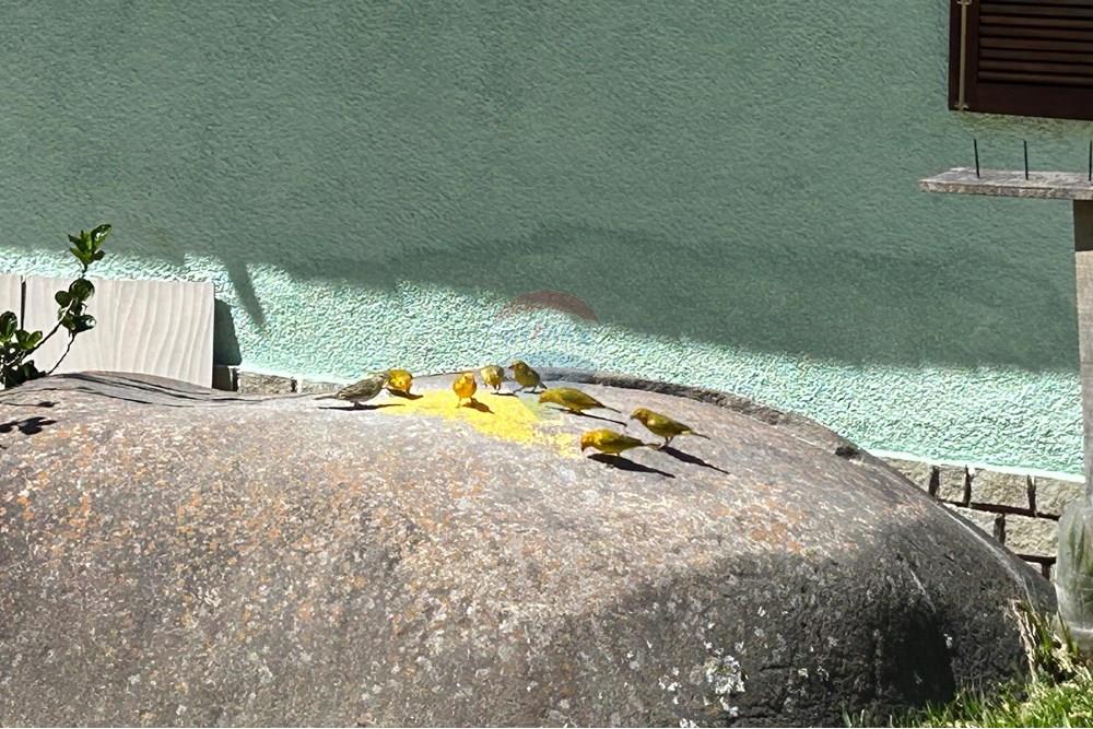 Casa - Venda - Nova Friburgo , Rio de Janeiro - WhatsApp Image 2025-10-27 at 23.08.19 (1).jpeg - 630551055-107