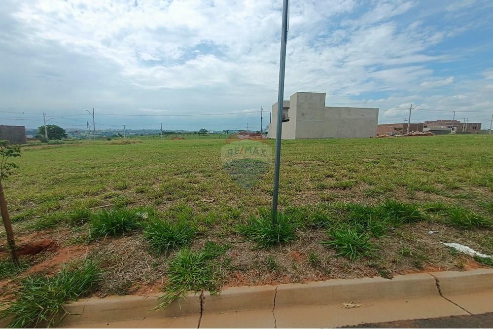 Terreno - Venda - Presidente Prudente , São Paulo - IMG_20251028_135350.jpg - 630861066-10