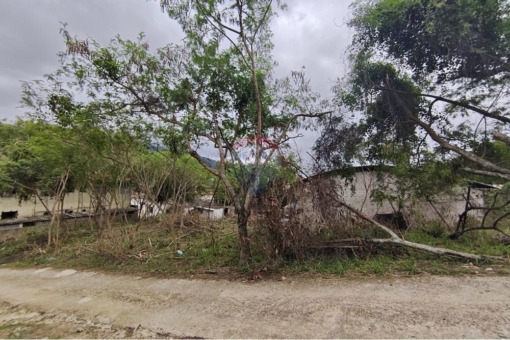 Terreno - Venda - São Sebastião , São Paulo - MVIMG_20250925_103206 - Copia.jpg - 631461059-30