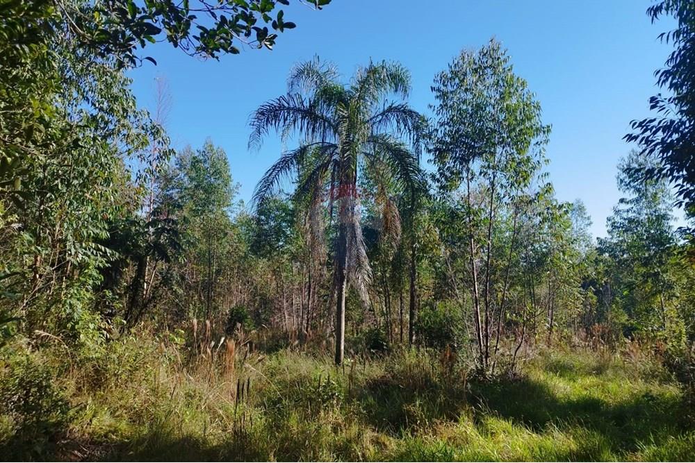Terreno - Venda - Cabreúva , São Paulo - Terreno Maria Tereza 9.jpg - 630531013-11
