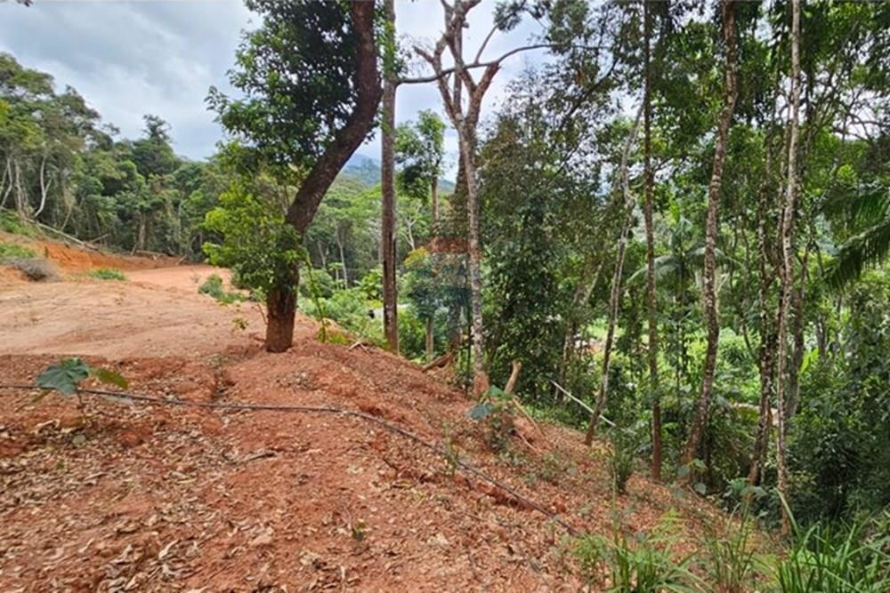 Terreno - Venda - Teresópolis , Rio de Janeiro - WhatsApp Image 2026-01-27 at 14.34.54.jpeg - 630191101-10