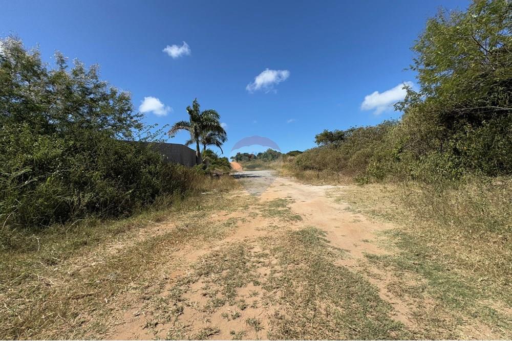 Terreno - Venda - Armação dos Búzios , Rio de Janeiro - IMG_0603.JPG - 630391033-20
