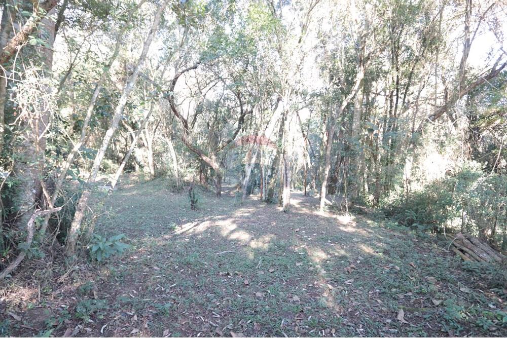 Casa de Campo - Venda - São Roque , São Paulo - IMG_4124.JPG - 631601009-26