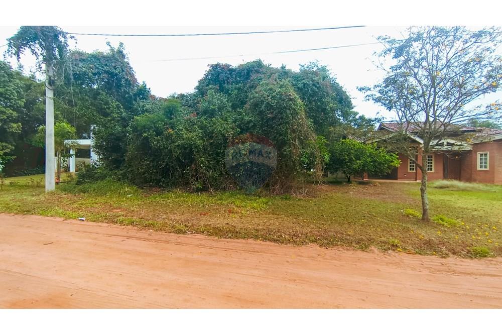 Terreno - Venda - Pardinho , São Paulo - IMG-20250822-WA0151.jpg - 630481103-120