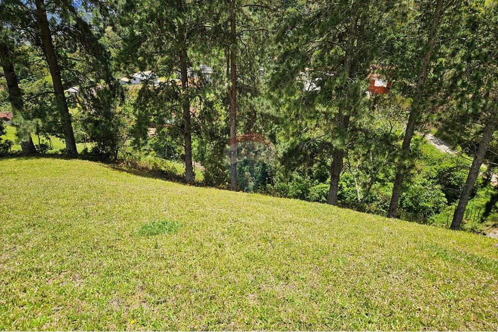 Terreno - Venda - Nova Friburgo , Rio de Janeiro - 20251111_104104.jpg - 630551024-83